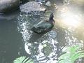Zoo Cottbus 108